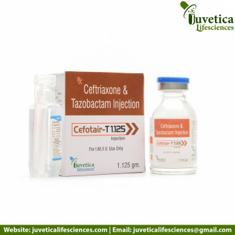 CEFOTAIR-T 1.125 - Juvetica Lifesciences